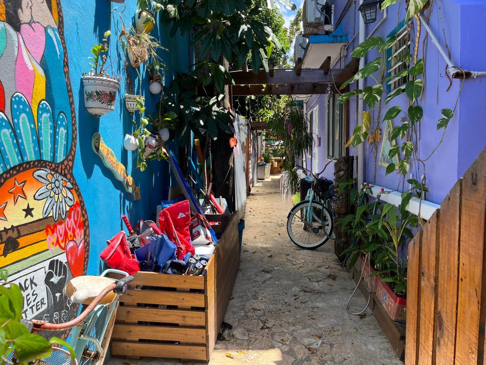 Lower Price, More Style, Discount Studio In San Juan,Pr, Beach, Free Bikes (Adults Only) 산후안 외부 사진
