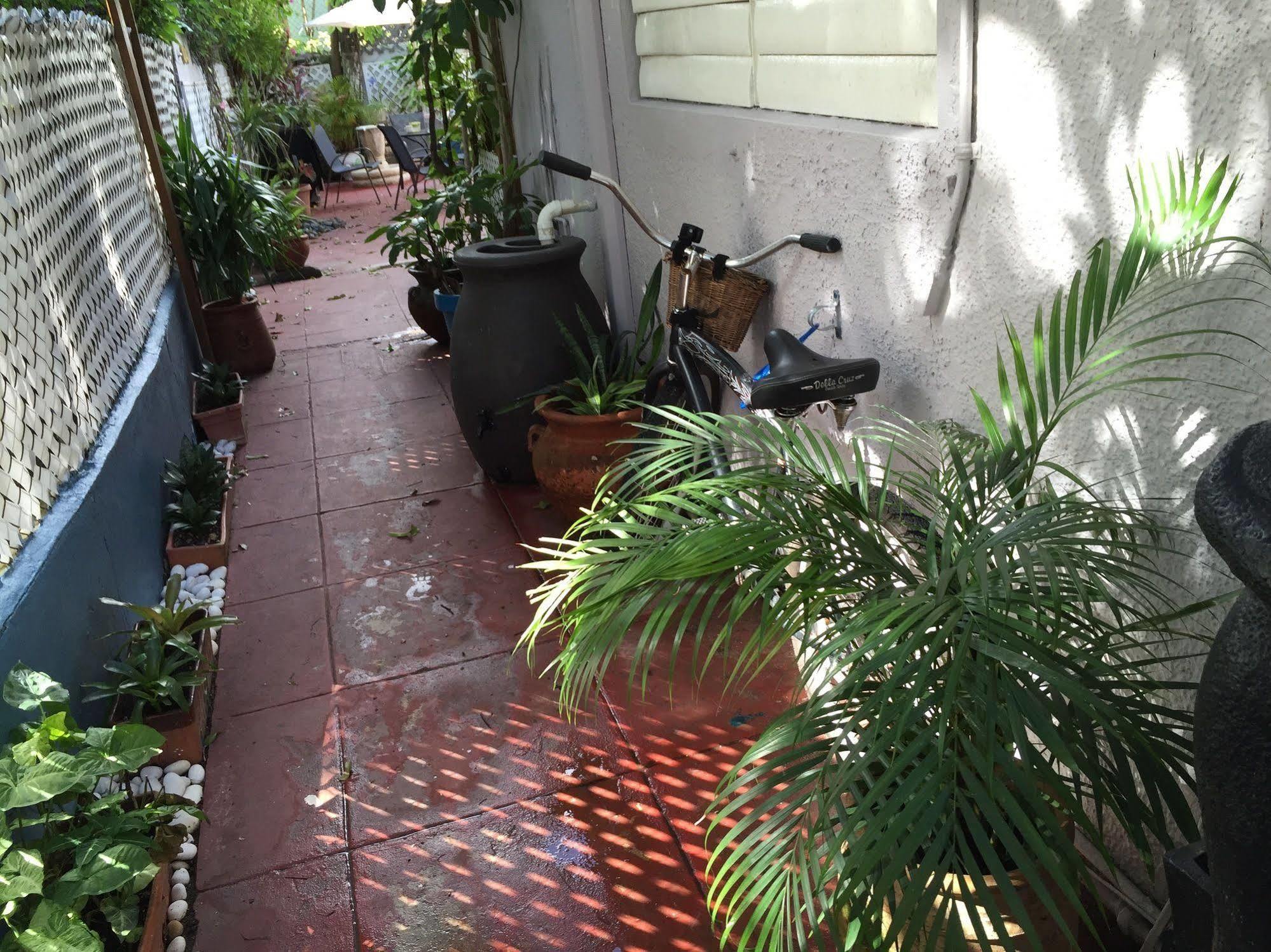 Lower Price, More Style, Discount Studio In San Juan,Pr, Beach, Free Bikes (Adults Only) 산후안 외부 사진